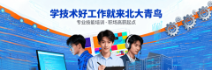 这种矫捷的付费方