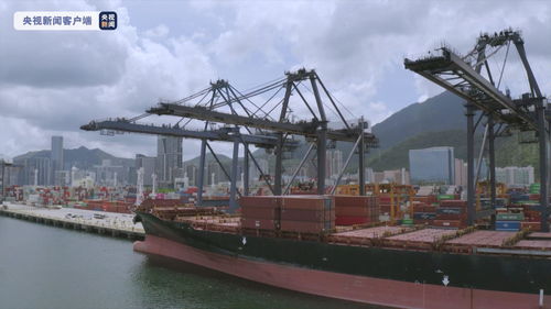 RCEP实施超两月 深圳进出口数亿元货物享受优惠